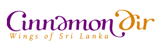 Cinnamon Air logo