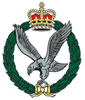 Army Air Corps logo