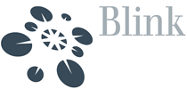 Blink logo