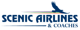 Eagle Canyon Airlines logo